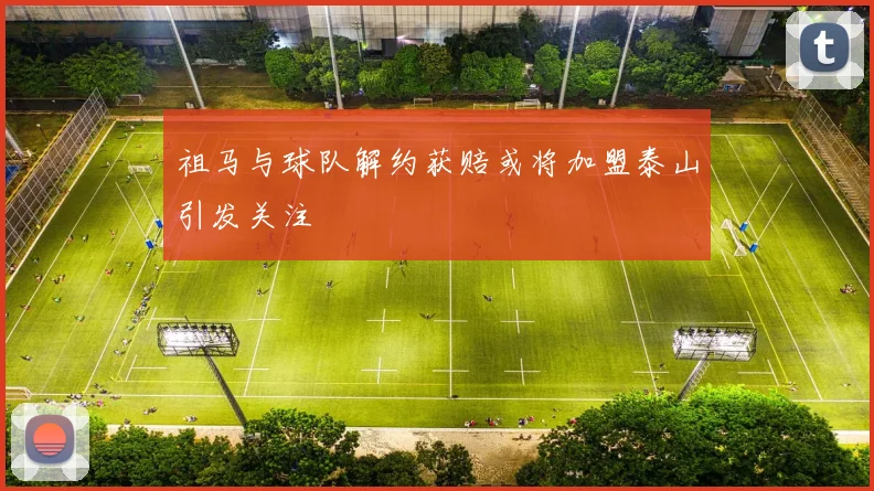祖马与球队解约获赔或将加盟泰山引发关注