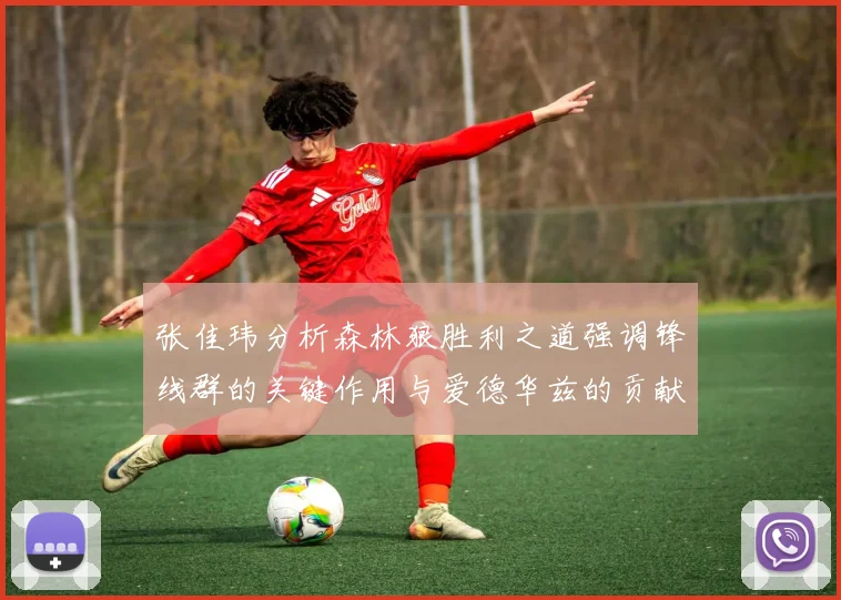 张佳玮分析森林狼胜利之道强调锋线群的关键作用与爱德华兹的贡献